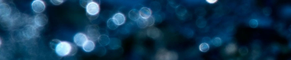 Duncanville Chamber of Commerce